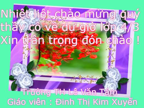 Tuần 23. Hoa học trò