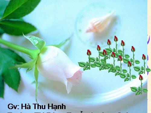 Tuần 9. Điều ước của vua Mi-đát
