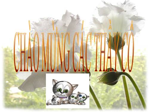 Tuần 16. Trong quán ăn Ba cá bống