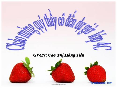 Tuần 6. Chị em tôi