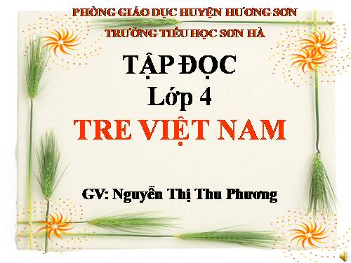 Tuần 4. Tre Việt Nam