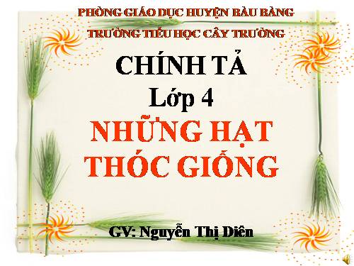 Tuần 5. Những hạt thóc giống