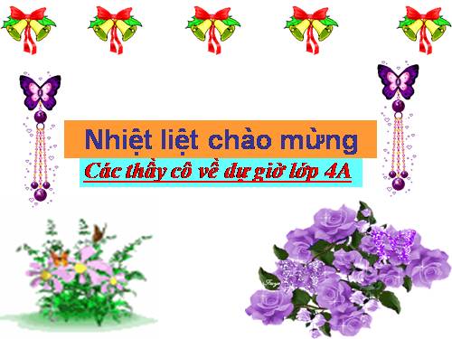 Tuần 8. Đôi giày ba ta màu xanh