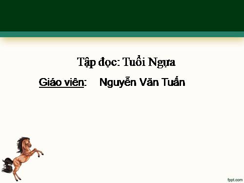 Tuần 15. Tuổi Ngựa