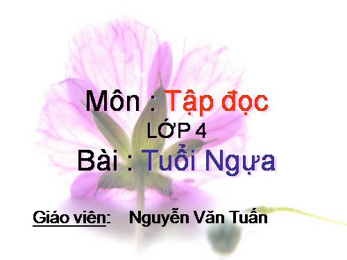 Tuần 15. Tuổi Ngựa