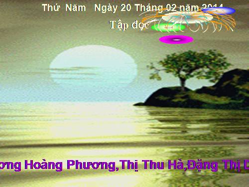 Tuần 23. Hoa học trò