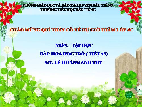 Tuần 23. Hoa học trò