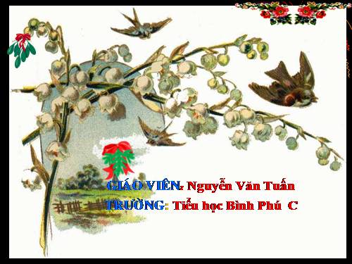 Tuần 33. Vương quốc vắng nụ cười (tiếp theo)