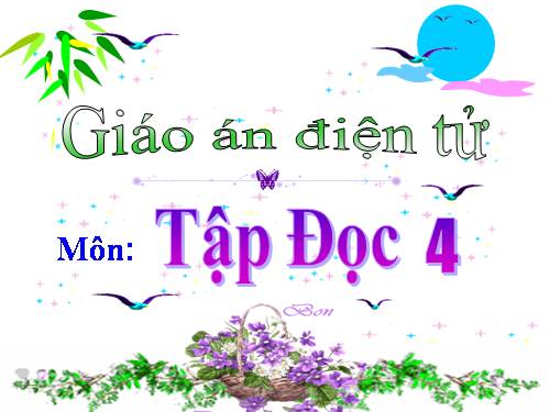 Tuần 23. Hoa học trò