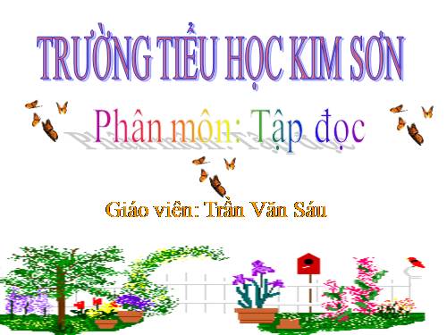 Tuần 27. Con sẻ