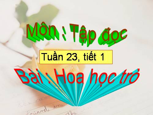 Tuần 23. Hoa học trò