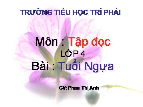 Tuần 15. Tuổi Ngựa