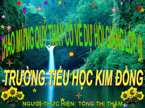 Tuần 8. Đôi giày ba ta màu xanh