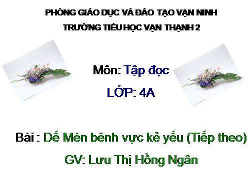 Tuần 2. Dế Mèn bênh vực kẻ yếu (tiếp theo)