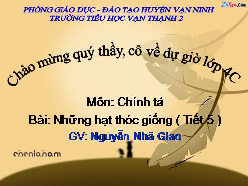 Tuần 5. Những hạt thóc giống