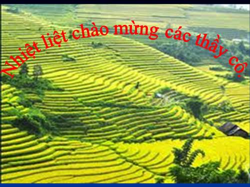 TIENG VIET 4 VNEN