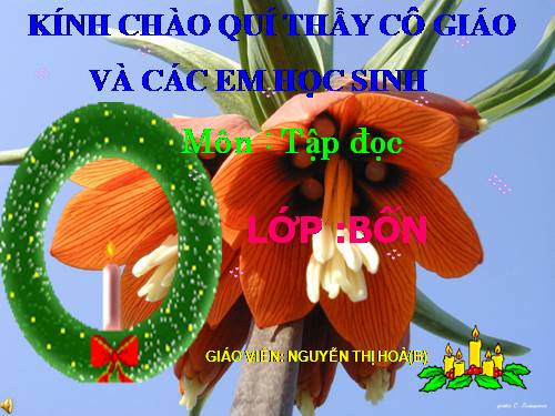 Tuần 11. Ông Trạng thả diều