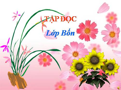 Tuần 8. Đôi giày ba ta màu xanh