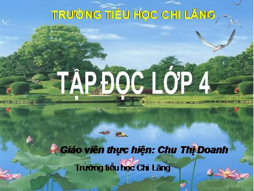Tuần 12. Vua tàu thủy Bạch Thái Bưởi