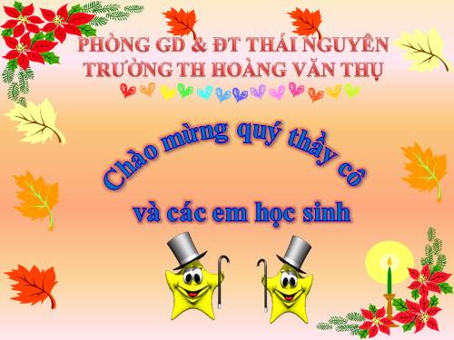 Tuần 27. Con sẻ