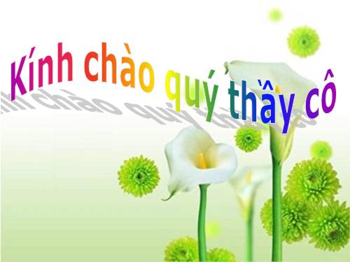 Tuần 8. Đôi giày ba ta màu xanh