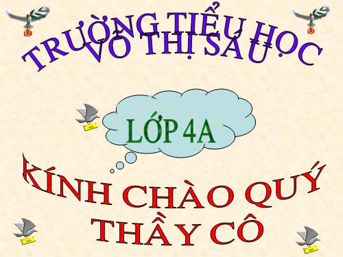 Tuần 27. Con sẻ