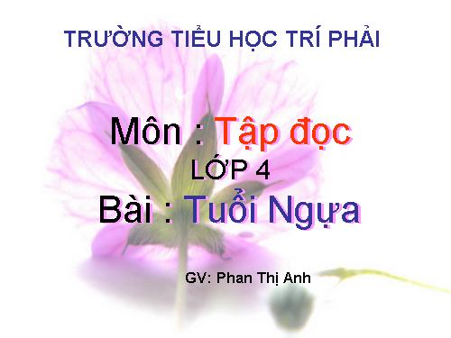 Tuần 15. Tuổi Ngựa