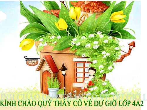 Tuần 8. Đôi giày ba ta màu xanh