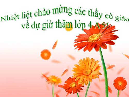 Tuần 8. Đôi giày ba ta màu xanh