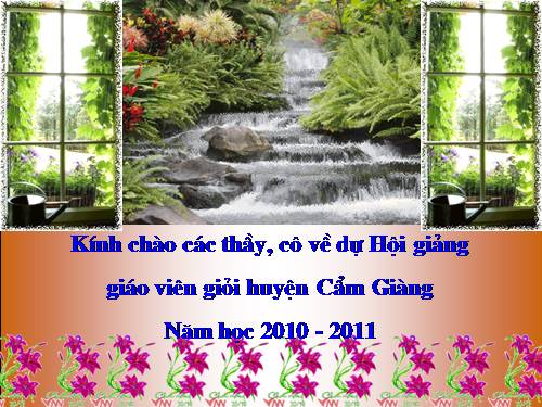 Tuần 31. Con chuồn chuồn nước