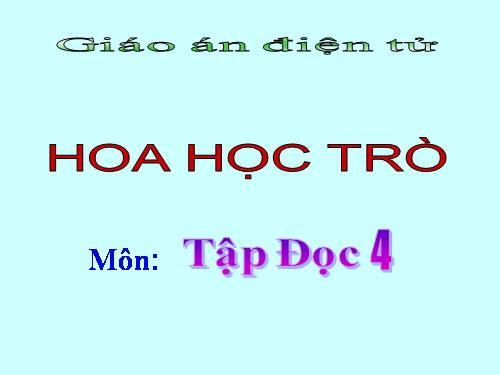 Tuần 23. Hoa học trò