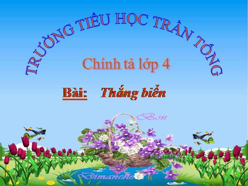 Tuần 26. Thắng biển