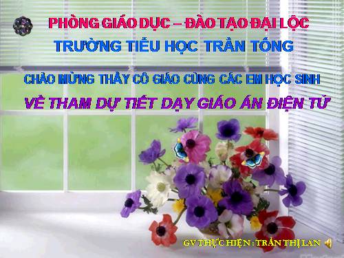 Tuần 23. Hoa học trò