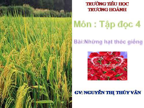 Tuần 5. Những hạt thóc giống