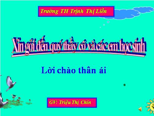 Tuần 27. Con sẻ