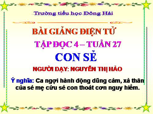 Tuần 27. Con sẻ