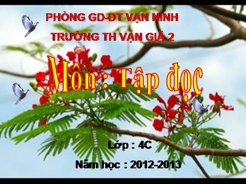 Tuần 23. Hoa học trò