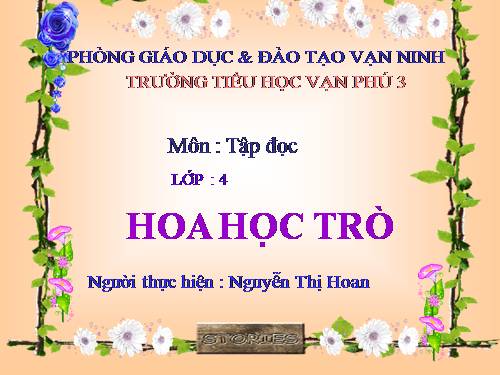 Tuần 23. Hoa học trò