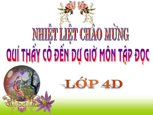 Tuần 23. Hoa học trò