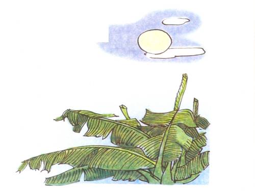 Tuần 29. Trăng ơi... từ đâu đến?