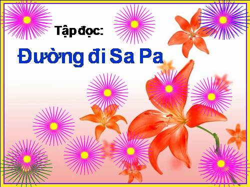 Tuần 29. Đường đi Sa Pa