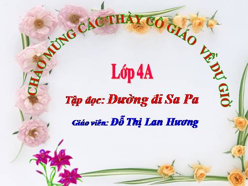 Tuần 29. Đường đi Sa Pa