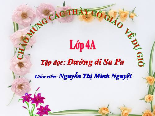 Tuần 29. Đường đi Sa Pa