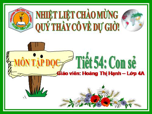 Tuần 27. Con sẻ