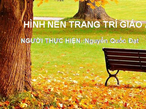 Tuần 22. Chợ Tết