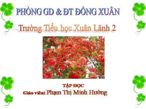 Tuần 23. Hoa học trò