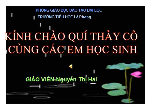 Tuần 27. Con sẻ