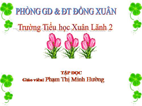 Tuần 22. Sầu riêng