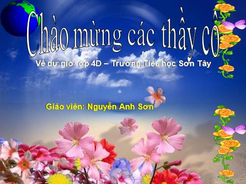 Tuần 15. Tuổi Ngựa