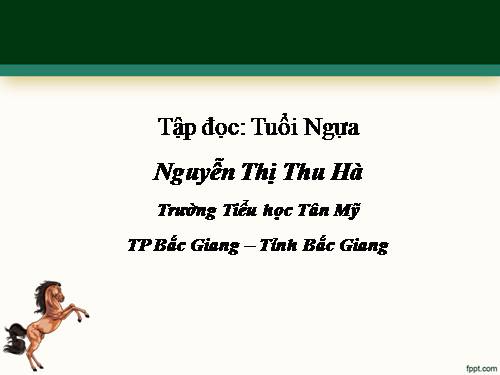 Tuần 15. Tuổi Ngựa